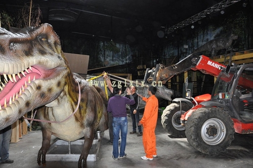 法國動物園恐龍展廳安裝現場圖五