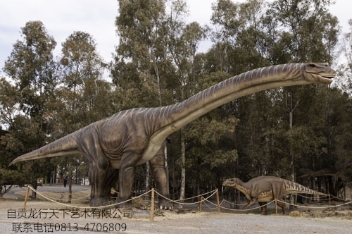 Big Size Simulation Apatosaurus